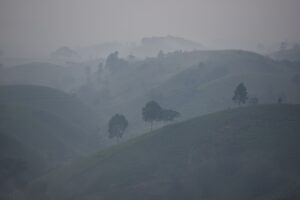 Shio Kambing 2026: Menyingkap Angka Main dan Prediksi